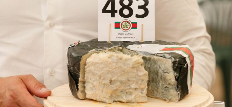 A Spanish cheese: the most expensive in the world and in history