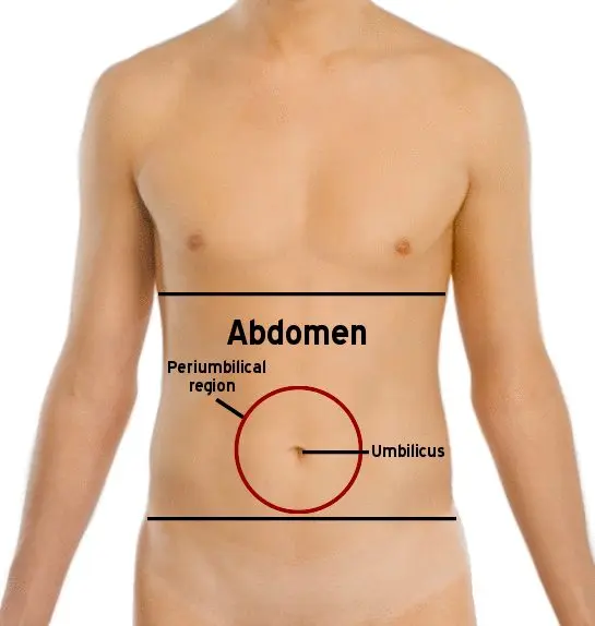 Abdomen