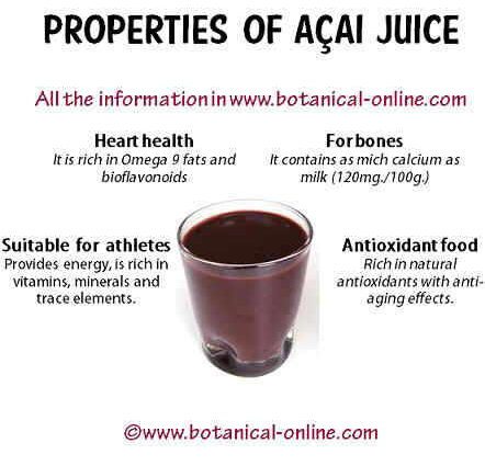 Açaí: benefits and curiosities of the fashionable &#8216;superfruit&#8217;