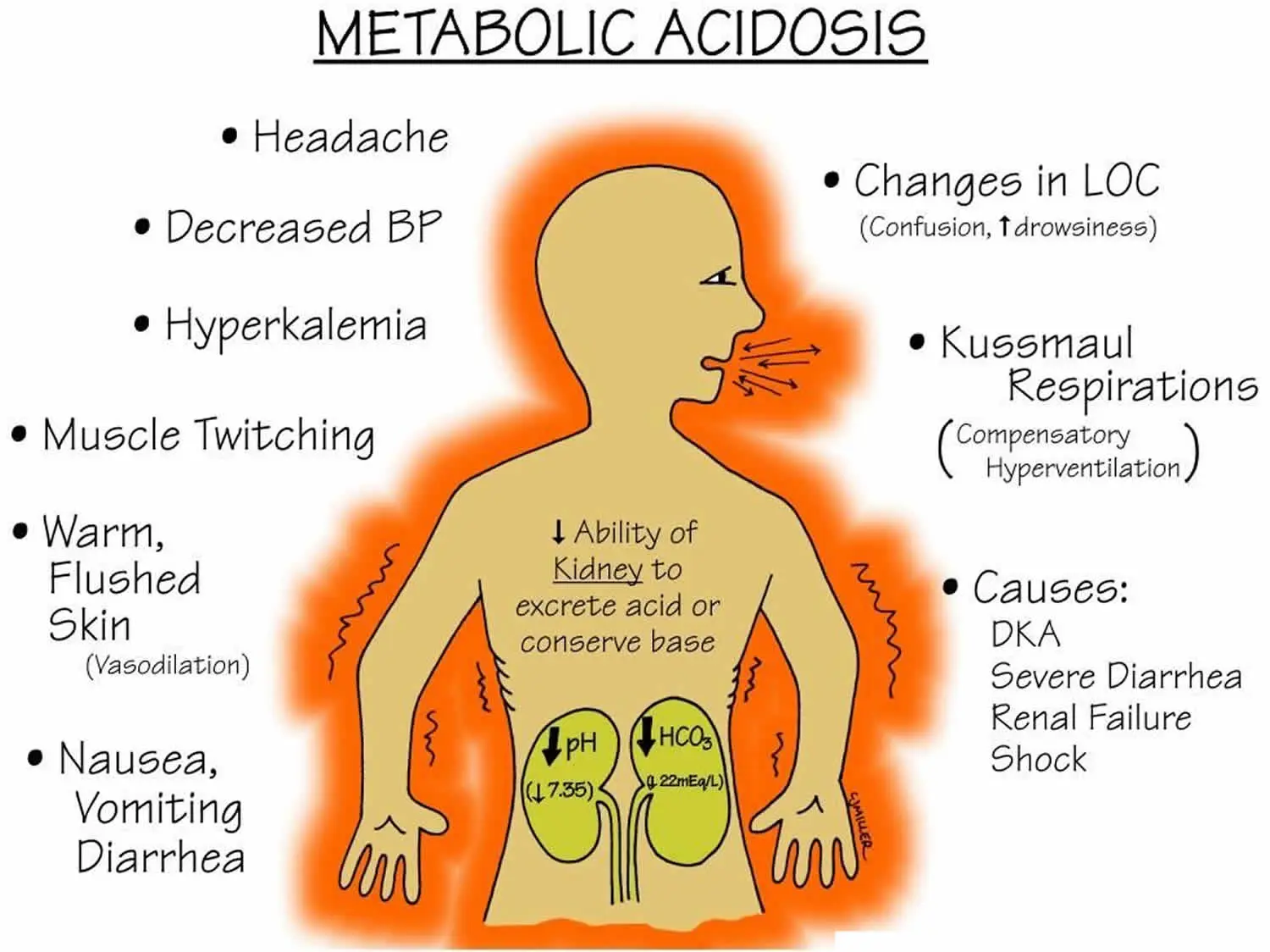 Acidosis: causes, symptoms and treatments