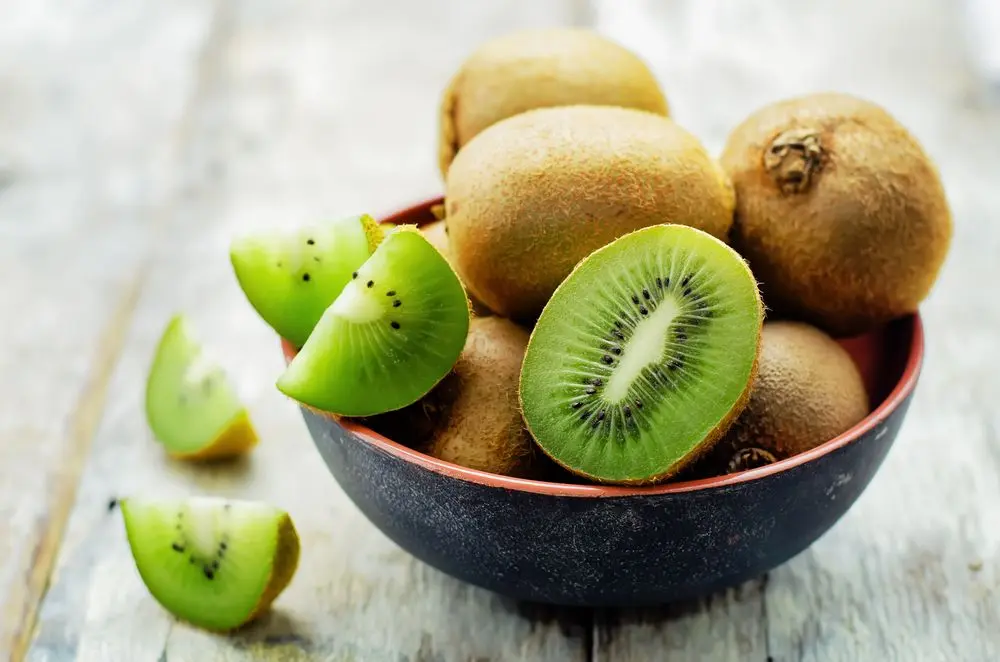 Actinidia: beneficial properties. Video
