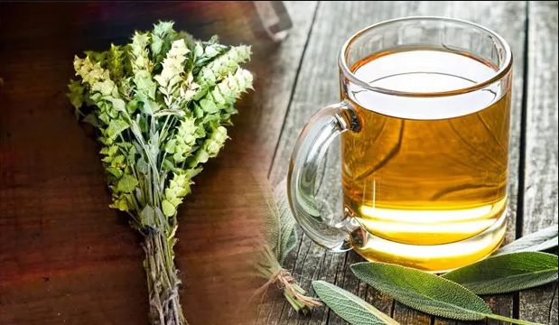 Ada tea: beneficial properties