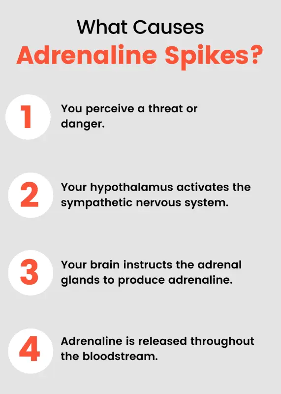 Adrenaline: symptoms of an adrenaline rush