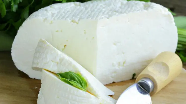 Adyghe cheese, the benefits of Adyghe cheese for the body