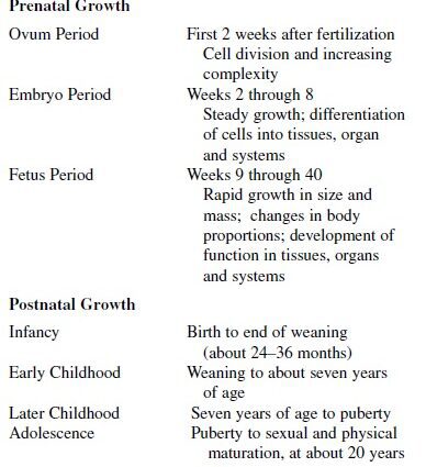 Age periods of child development: stages and main features