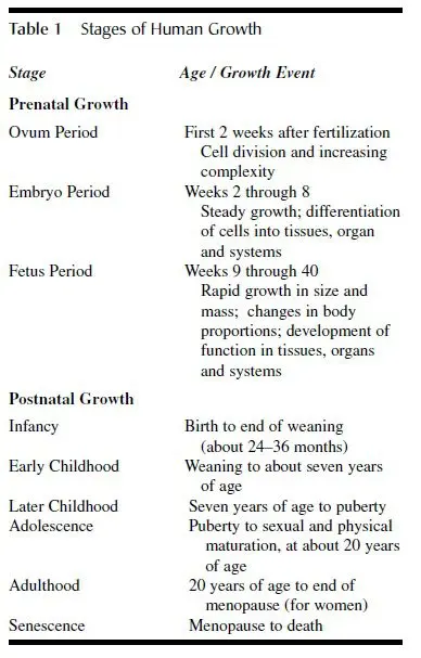 Age periods of child development: stages and main features