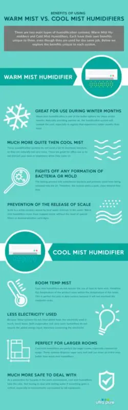 Air humidifier: pros and cons
