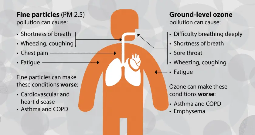 Air pollution: concerns for our health?