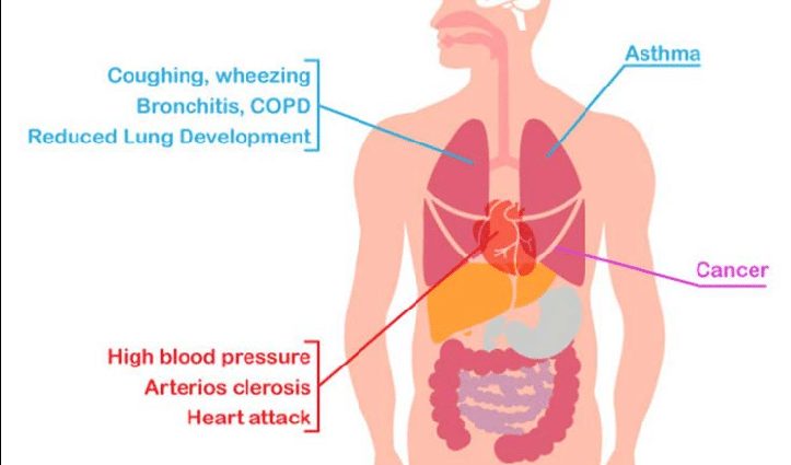 Air pollution, which parts of the body are most affected?