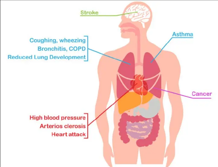 Air pollution, which parts of the body are most affected?