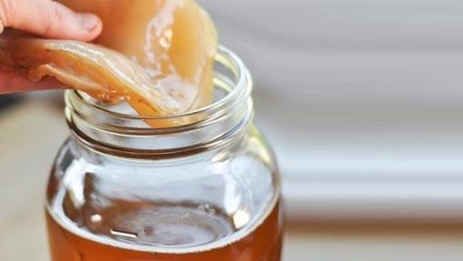 All about kombucha, the &#8216;foodie&#8217; tonic of the moment