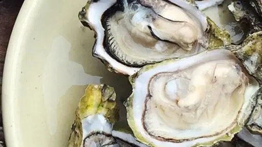 All about oysters: myths, truths and directions