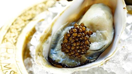 All about oysters: myths, truths and directions