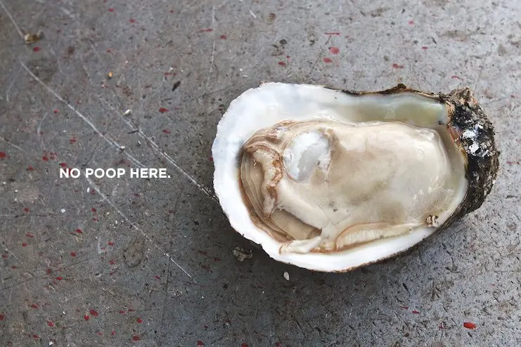 All about oysters: myths, truths and directions