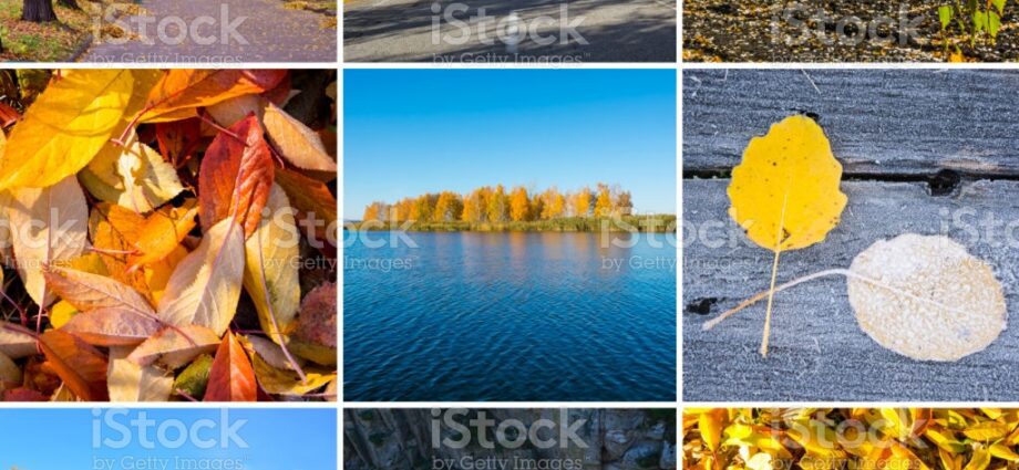 All the colors of autumn are in your kitchen