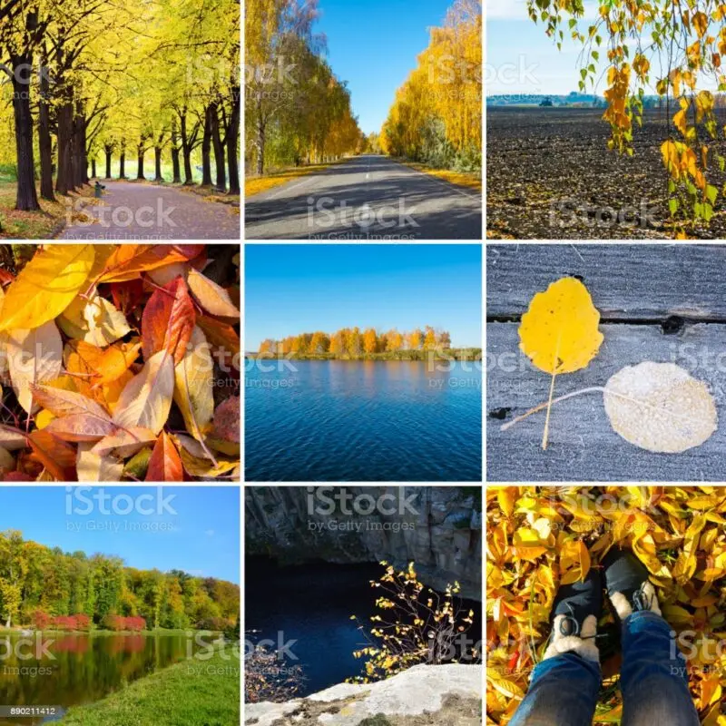 All the colors of autumn are in your kitchen