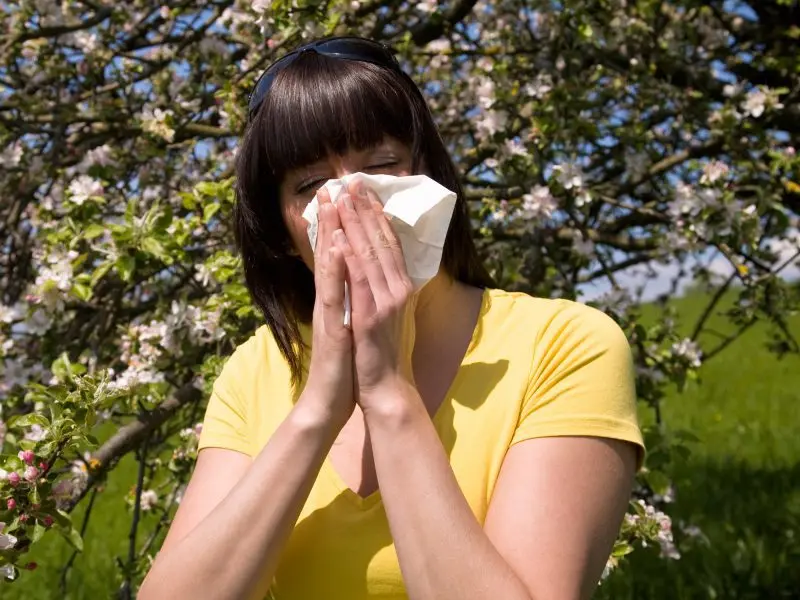 Allergic rhinitis: complementary approaches