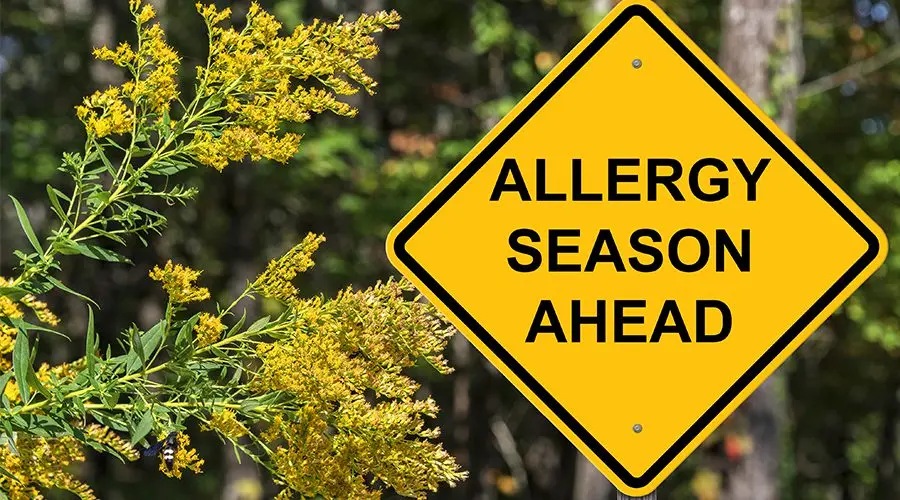 Allergy season: what to do if bloom causes a runny nose