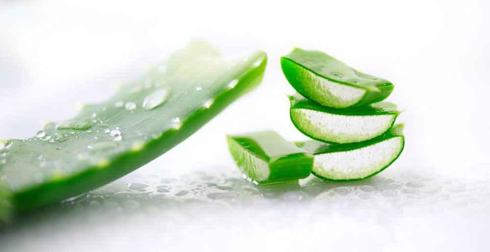 Aloe vera: the miraculous plant with many virtues