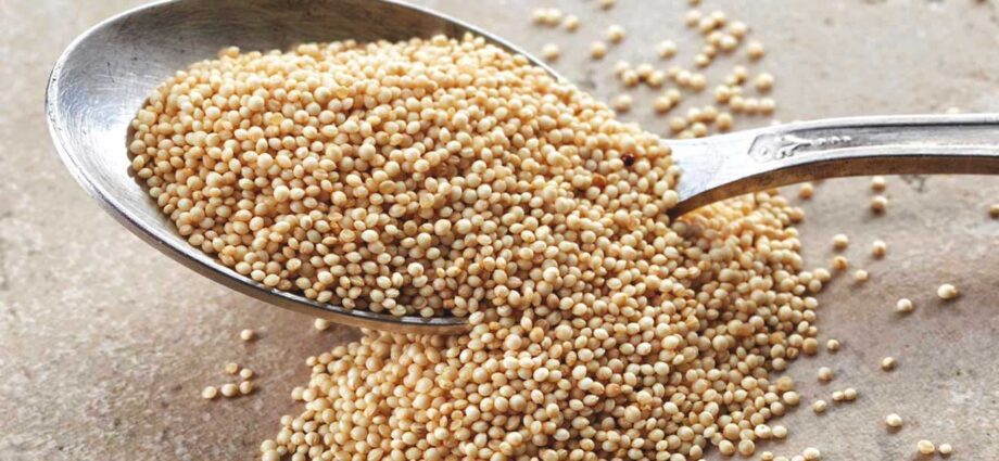 Amaranth: useful properties and harm of amaranth. Video