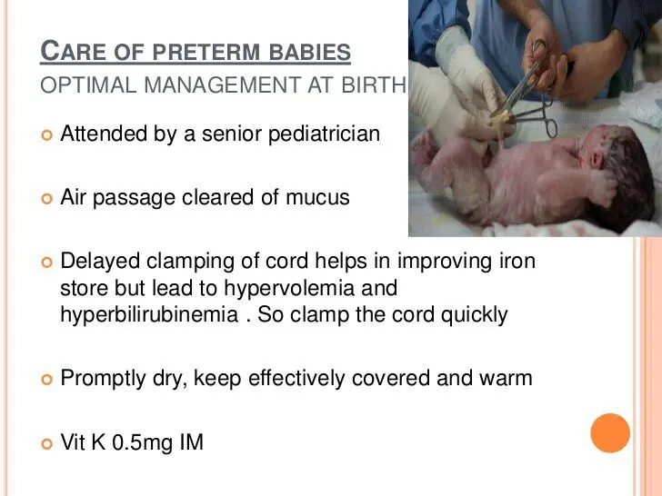 An extremely low birth weight premature baby: how is nursed