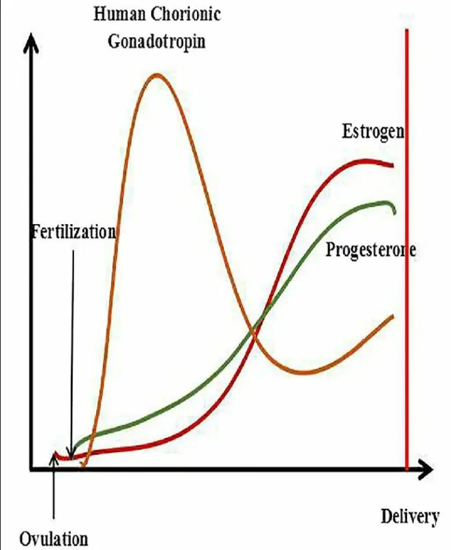 Analysis for progesterone during pregnancy