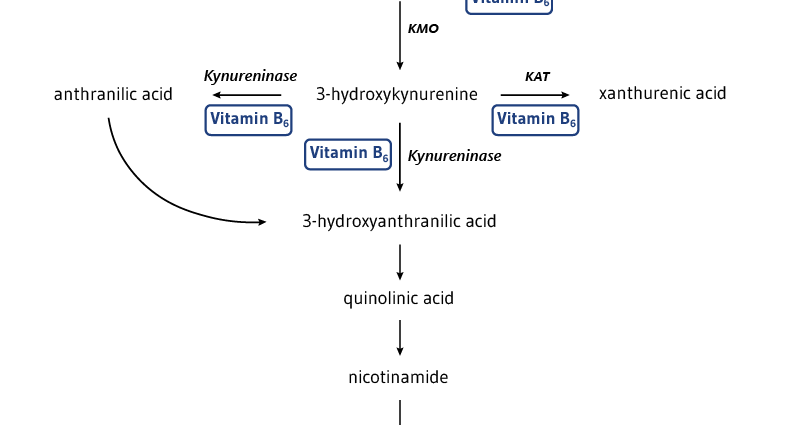 Analysis of vitamin B6 or pyridoxine