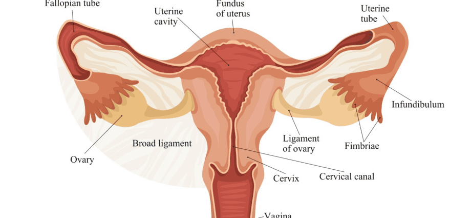 And no IVF: a woman gave birth after removing the fallopian tubes