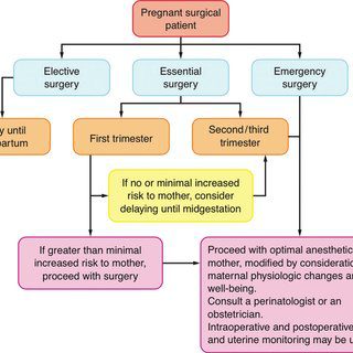 Anesthesia consultation: essential before childbirth