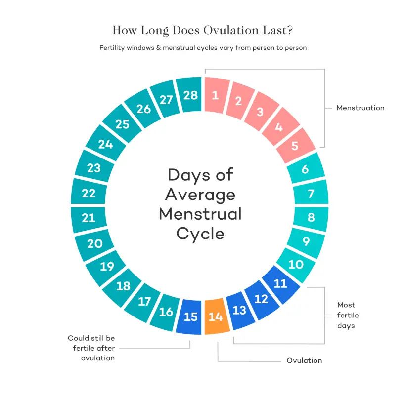 Anovulation and pregnancy: getting pregnant when you don&#8217;t ovulate