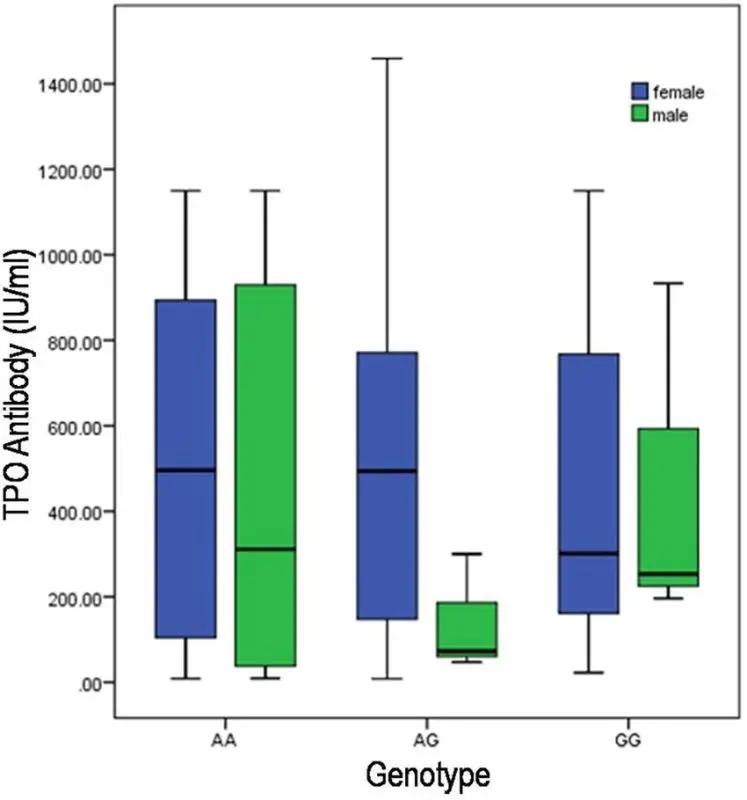 Antithyroid antibody analysis