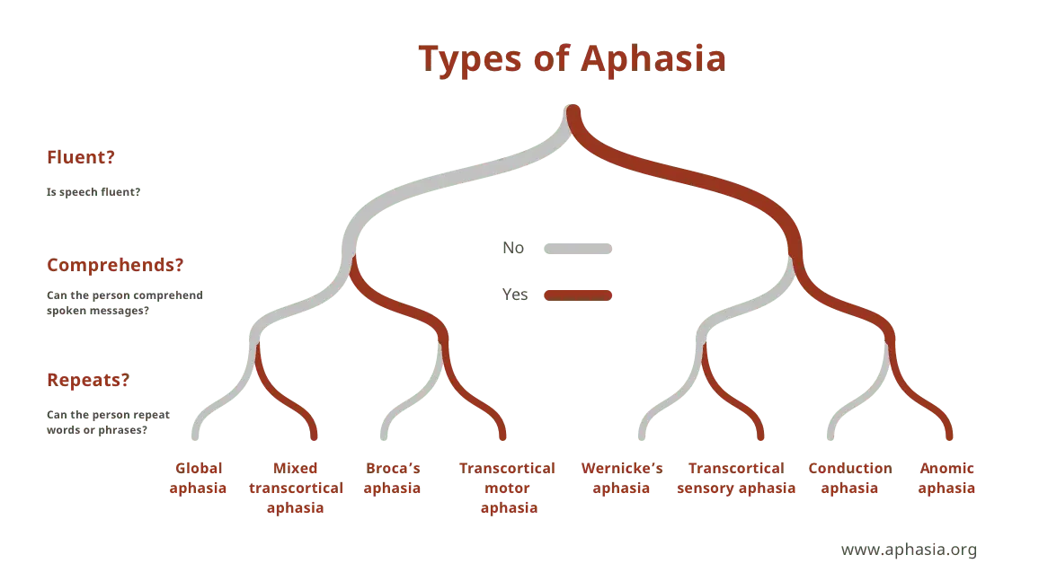 Aphasia, what is it?