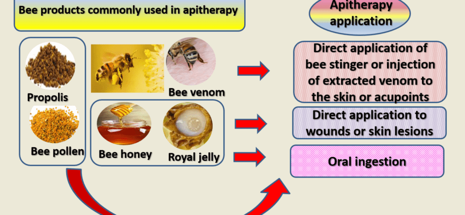 Apitherapy: what is treated with bee venom? Video