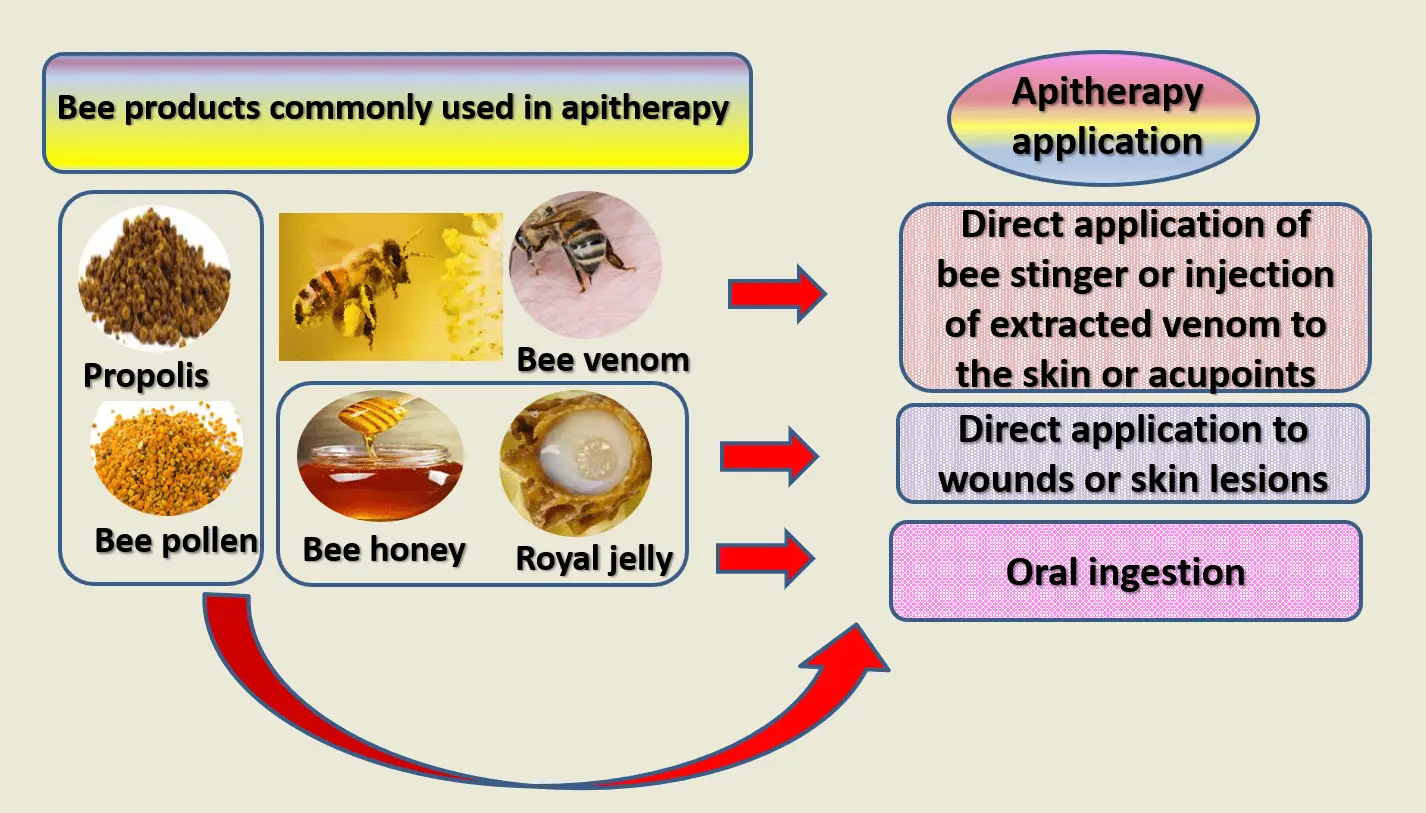 Apitherapy: what is treated with bee venom? Video