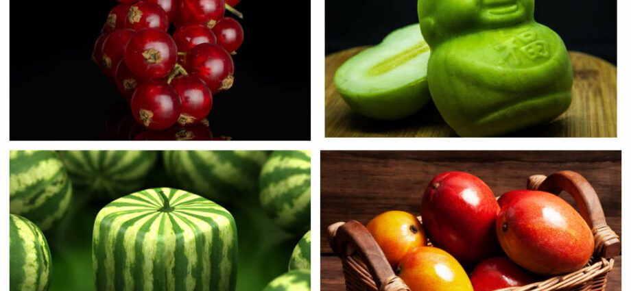 Mollë, shalqi dhe 5 fruta të tjera që ju shëndoshin