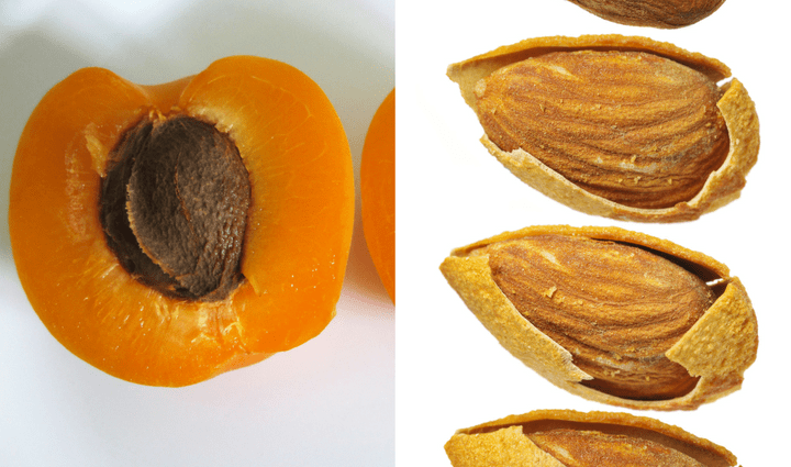 Apricot pits: benefits and harms. Video