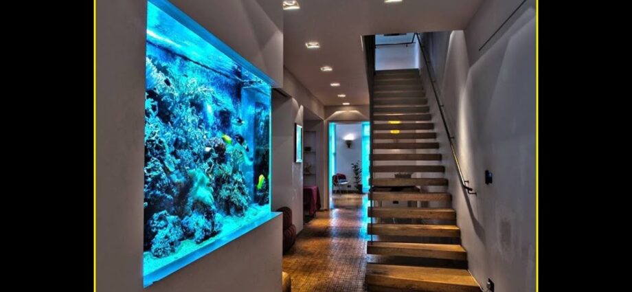 Aquarium in the interior: choosing a design. Video