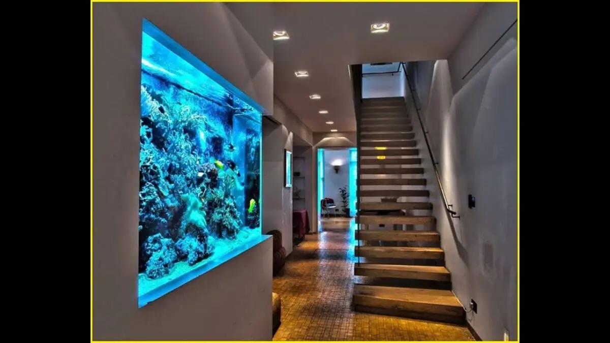 Aquarium in the interior: choosing a design. Video