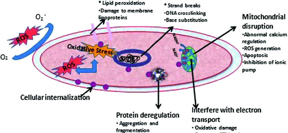 Are nanocosmetics harmful to the skin?