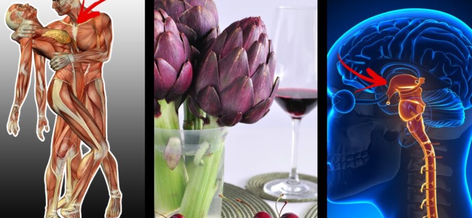 Artichoke: beneficial properties and uses. Video