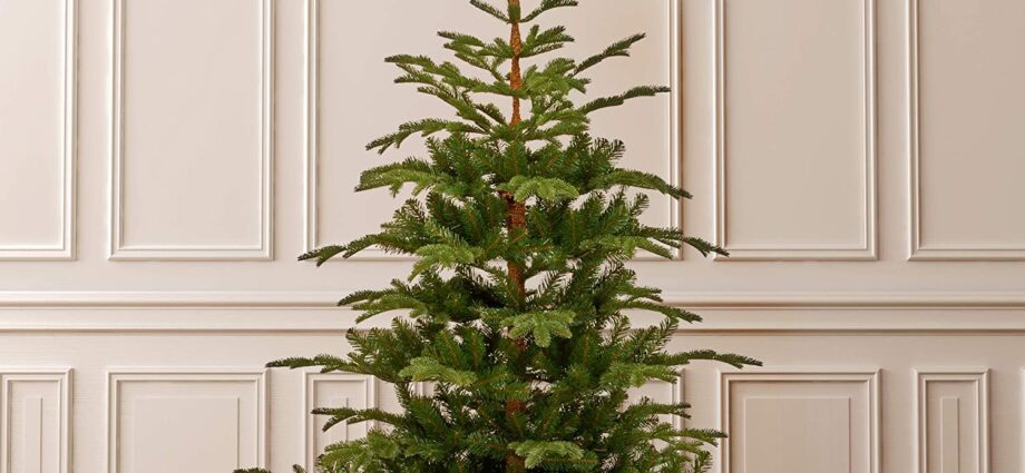 Artificial spruce from celebrities