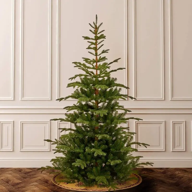 Artificial spruce from celebrities