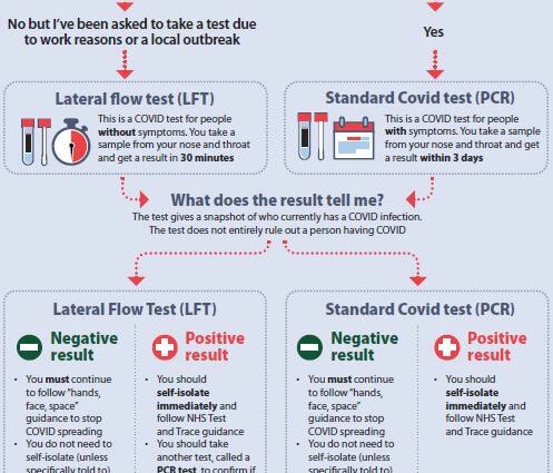 As a rule, take a PCR test for covid and why the result may be erroneous