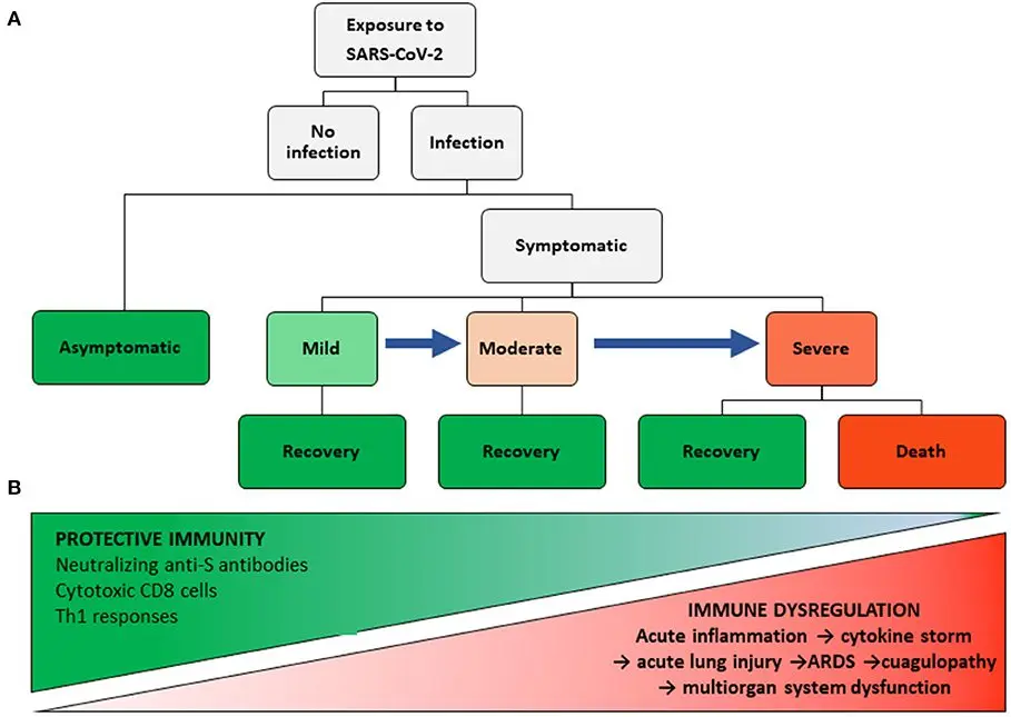 Asymptomatic course of coronavirus may be associated with poor immunity