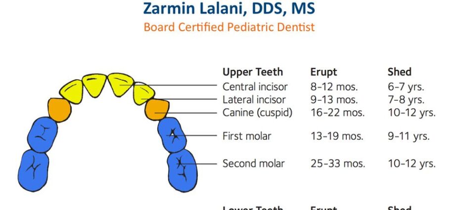 At what age do the molars of a child change: teething and symptoms