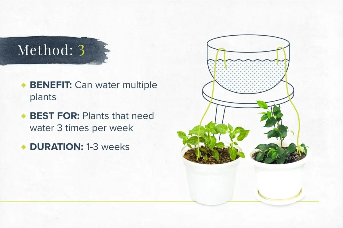 Automatic watering of indoor plants while on vacation