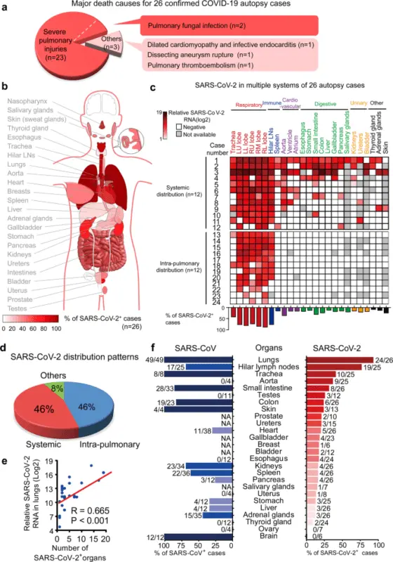 Autopsy Results of Coronavirus Death Revealed