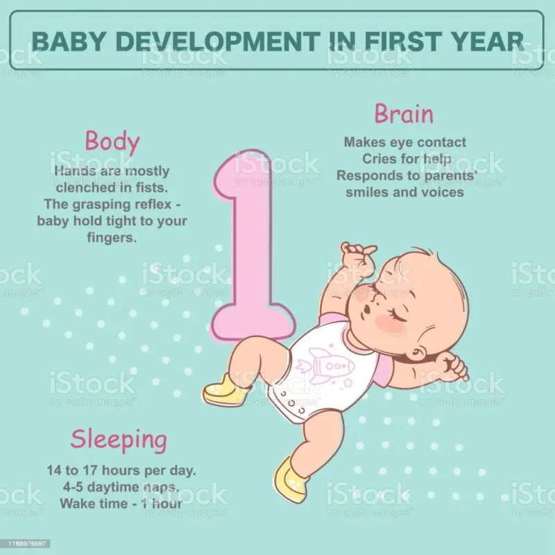 Baby development at 1 month: everything that changes