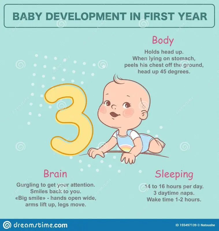 Baby development at 3 months: what is changing