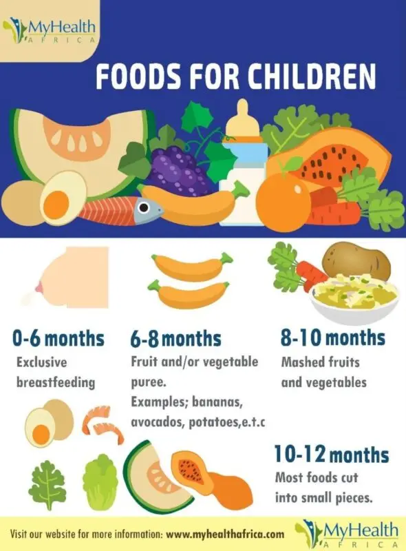 Baby food, complementary foods: how to feed your baby, wholesome foods